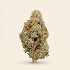 Cheese CBD Indoor Premium