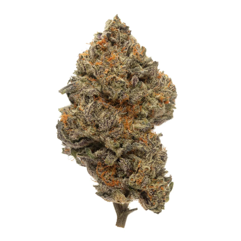 Black Cherry Pie H4+CBD Flower